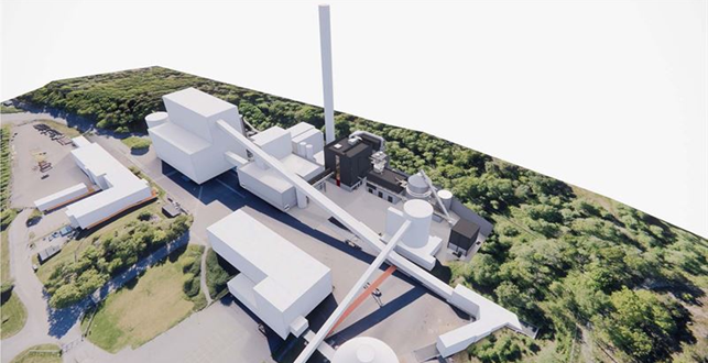 Riskulla Plant_Laitex